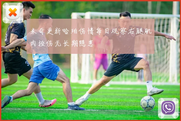 米奇更新哈珀伤情每日观察右腿肌肉挫伤无长期隐患
